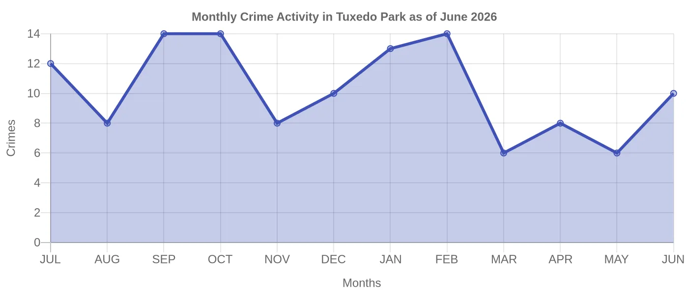 Monthly Crime Activity Chart