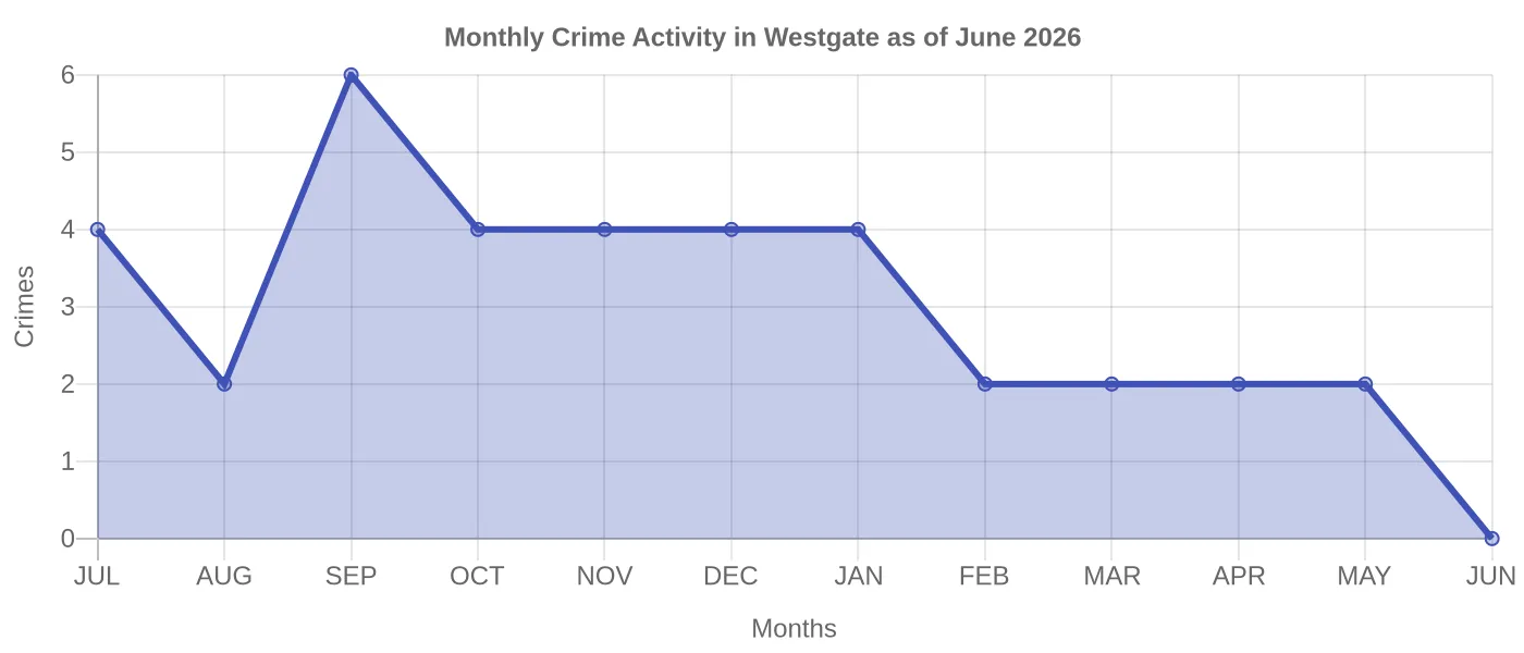Monthly Crime Activity Chart