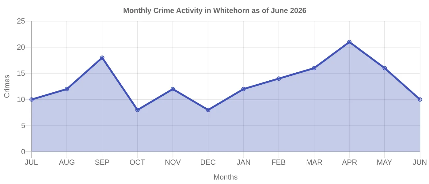 Monthly Crime Activity Chart