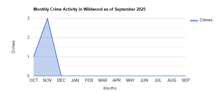 Wildwood Crime Activity November 2024.jpg