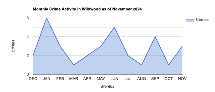 Wildwood Crime Activity November 2024.jpg