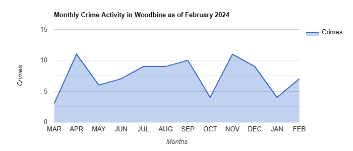 Woodbine Crime Activity December 2021.jpg