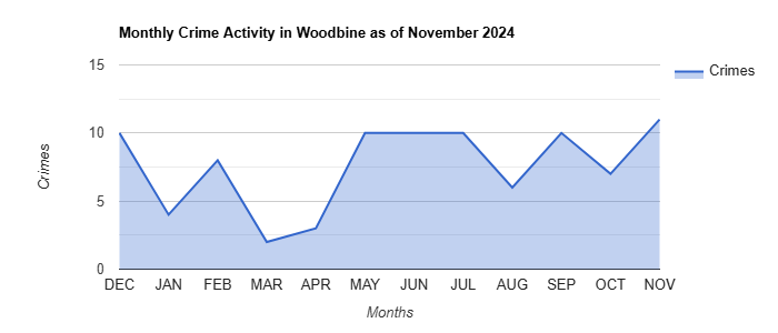 Woodbine Crime Activity November 2024.jpg