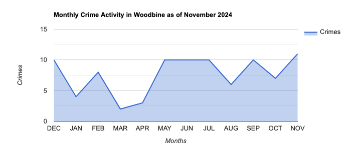 Woodbine Crime Activity November 2024.jpg