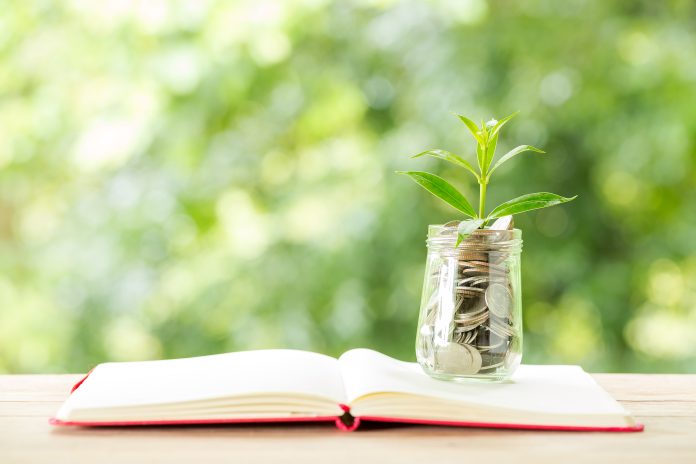 Plant growing from coins in a glass jar on a book