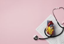 Plastic heart model with a stethoscope on a pink background